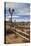 Joshua Tree National Park-Richard T. Nowitz-Stretched Canvas