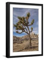 Joshua Tree National Park-Richard T. Nowitz-Framed Photographic Print