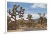 Joshua Tree National Park-Richard T. Nowitz-Framed Photographic Print