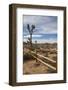 Joshua Tree National Park-Richard T. Nowitz-Framed Photographic Print