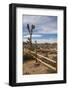 Joshua Tree National Park-Richard T. Nowitz-Framed Photographic Print