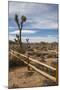 Joshua Tree National Park-Richard T. Nowitz-Mounted Photographic Print