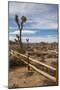 Joshua Tree National Park-Richard T. Nowitz-Mounted Photographic Print