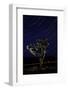 Joshua Tree Night Lights, Death Valley-Steve Gadomski-Framed Photographic Print