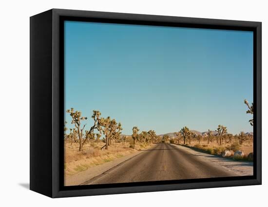 Joshua Tree Road-Bethany Young-Framed Stretched Canvas