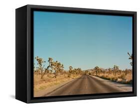 Joshua Tree Road-Bethany Young-Framed Stretched Canvas