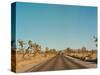 Joshua Tree Road-Bethany Young-Stretched Canvas