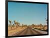 Joshua Tree Road-Bethany Young-Framed Photographic Print