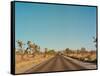 Joshua Tree Road-Bethany Young-Framed Stretched Canvas