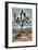 Joshua Tree Scene-Vincent James-Framed Photographic Print