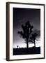 Joshua Tree Silhouettes BW-Steve Gadomski-Framed Photographic Print