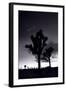 Joshua Tree Silhouettes BW-Steve Gadomski-Framed Photographic Print