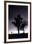 Joshua Tree Silhouettes BW-Steve Gadomski-Framed Photographic Print