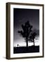 Joshua Tree Silhouettes BW-Steve Gadomski-Framed Premium Photographic Print