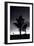 Joshua Tree Silhouettes BW-Steve Gadomski-Framed Photographic Print