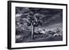 Joshua Tree Sunrise BW-Steve Gadomski-Framed Photographic Print