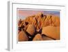 Joshua Tree Sunset II-Donald Paulson-Framed Giclee Print