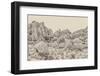 Joshua Tree V Neutral-Elizabeth Urquhart-Framed Photographic Print