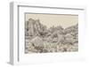 Joshua Tree V Neutral-Elizabeth Urquhart-Framed Photographic Print