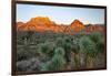 Joshua tree, Yucca brevifolia and sunset on red rocks, Valley of Fire State Park, Nevada-Adam Jones-Framed Photographic Print