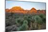 Joshua tree, Yucca brevifolia and sunset on red rocks, Valley of Fire State Park, Nevada-Adam Jones-Mounted Photographic Print