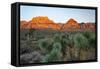 Joshua tree, Yucca brevifolia and sunset on red rocks, Valley of Fire State Park, Nevada-Adam Jones-Framed Stretched Canvas