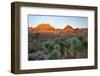 Joshua tree, Yucca brevifolia and sunset on red rocks, Valley of Fire State Park, Nevada-Adam Jones-Framed Photographic Print