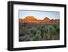 Joshua tree, Yucca brevifolia and sunset on red rocks, Valley of Fire State Park, Nevada-Adam Jones-Framed Photographic Print