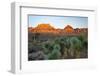 Joshua tree, Yucca brevifolia and sunset on red rocks, Valley of Fire State Park, Nevada-Adam Jones-Framed Photographic Print