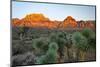 Joshua tree, Yucca brevifolia and sunset on red rocks, Valley of Fire State Park, Nevada-Adam Jones-Mounted Photographic Print