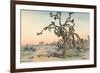 Joshua Tree-null-Framed Art Print