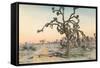 Joshua Tree-null-Framed Stretched Canvas