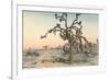 Joshua Tree-null-Framed Premium Giclee Print