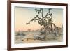 Joshua Tree-null-Framed Premium Giclee Print