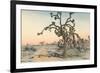 Joshua Tree-null-Framed Premium Giclee Print