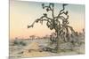 Joshua Tree-null-Mounted Premium Giclee Print