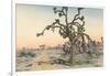 Joshua Tree-null-Framed Art Print