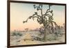 Joshua Tree-null-Framed Art Print