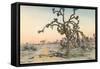 Joshua Tree-null-Framed Stretched Canvas