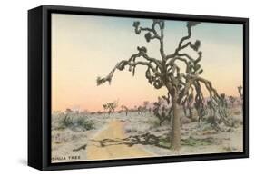 Joshua Tree-null-Framed Stretched Canvas