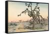 Joshua Tree-null-Framed Stretched Canvas