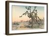 Joshua Tree-null-Framed Art Print