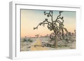 Joshua Tree-null-Framed Art Print