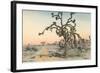 Joshua Tree-null-Framed Art Print