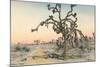 Joshua Tree-null-Mounted Art Print