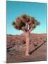 Joshua Tree-NaxArt-Mounted Art Print