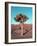 Joshua Tree-NaxArt-Framed Art Print