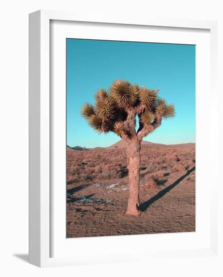 Joshua Tree-NaxArt-Framed Art Print