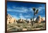 Joshua Trees Among the Large Granite Rocks of Joshua Tree National Park-John Alves-Framed Photographic Print