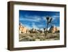 Joshua Trees Among the Large Granite Rocks of Joshua Tree National Park-John Alves-Framed Premium Photographic Print